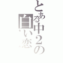 とある中２の白い恋（セ　　ル）