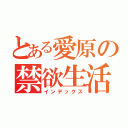 とある愛原の禁欲生活（インデックス）