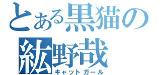 とある黒猫の紘野哉（キャットガール）