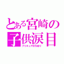 とある宮崎の子供涙目（プリキュア打ち切り）