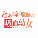 とある紅魔館の吸血幼女（フランドール）