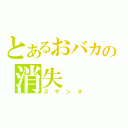 とあるおバカの消失（スザンヌ）