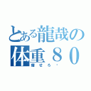 とある龍哉の体重８００キロ（痩せろ〜）