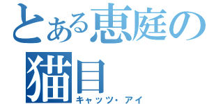 とある恵庭の猫目（キャッツ・アイ）