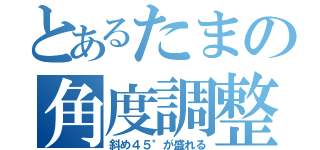 とあるたまの角度調整（斜め４５°が盛れる）