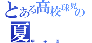 とある高校球児の夏（甲子園）