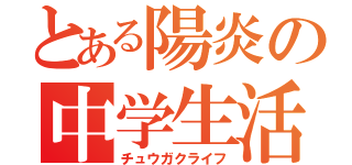 とある陽炎の中学生活（チュウガクライフ）