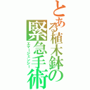 とある植木鉢の緊急手術（エマージェンシー）