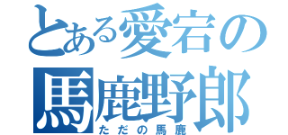 とある愛宕の馬鹿野郎（ただの馬鹿）