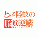 とある陸鮫の脳筋逆鱗（スカーフガブ）