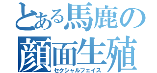 とある馬鹿の顔面生殖（セクシャルフェイス）