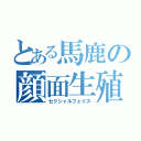 とある馬鹿の顔面生殖（セクシャルフェイス）