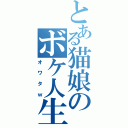 とある猫娘のボケ人生（オワタｗ）