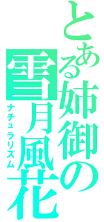 とある姉御の雪月風花（ナチュラリズム）