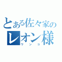 とある佐々家のレオン様（ワンコ）