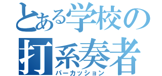 とある学校の打系奏者（パーカッション）