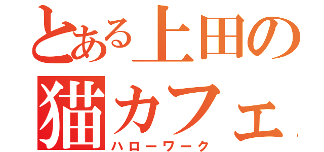 とある上田の猫カフェ（ハローワーク）