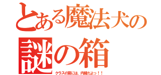 とある魔法犬の謎の箱（クラスの皆には、内緒だよっ！！）