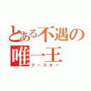 とある不遇の唯一王（ブースター）