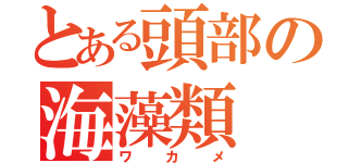 とある頭部の海藻類（ワカメ）