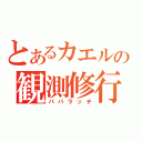 とあるカエルの観測修行（パパラッチ）