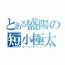 とある盛陽の短小極太（ウィングマン）