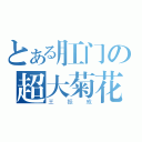 とある肛门の超大菊花（王振威）