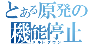 とある原発の機能停止（メルトダウン）