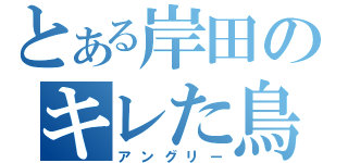 とある岸田のキレた鳥（アングリー）