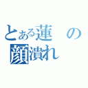 とある蓮の顔潰れ（）