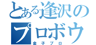 とある逢沢のプロボウラー（金子プロ）