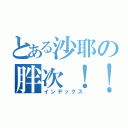 とある沙耶の胖次！！（インデックス）