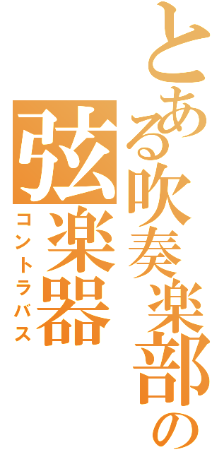 とある吹奏楽部の弦楽器（コントラバス）