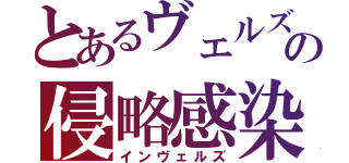 とあるヴェルズの侵略感染（インヴェルズ）