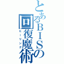 とあるＢＩＳの回復魔術（ヒーリング）