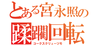 とある宮永照の蹂躙回転（コークスクリューツモ）