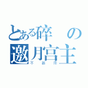 とある碎の邀月宫主（不器用）