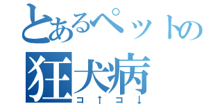 とあるペットの狂犬病（コ↑コ↓）