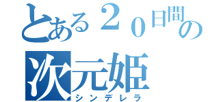 とある２０日間の次元姫（シンデレラ）