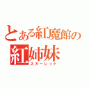 とある紅魔館の紅姉妹（スカーレット）