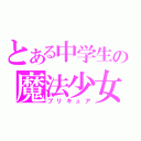 とある中学生の魔法少女（プリキュア）