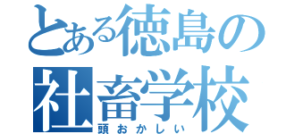 とある徳島の社畜学校（頭おかしい）