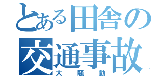 とある田舎の交通事故（大騒動）