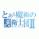 とある魔術の護衛士団Ⅱ（ガーディアンズ）