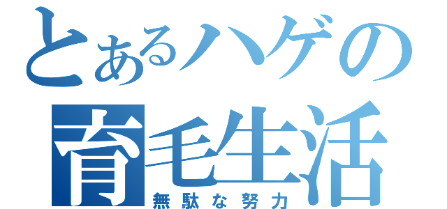 とあるハゲの育毛生活（無駄な努力）