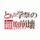 とある学祭の細胞崩壊（セルカラプス）