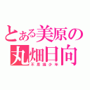 とある美原の丸畑日向（不思議少年）