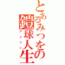 とあるみつをの鎧球人生（アメフト）