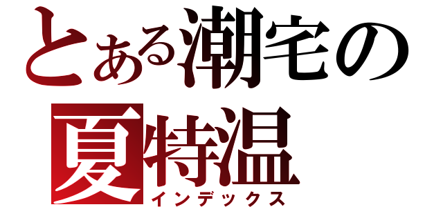 とある潮宅の夏特温（インデックス）