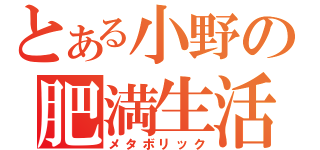 とある小野の肥満生活（メタボリック）